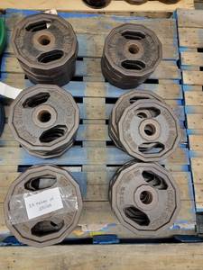 lot 38452 image: (33) 25lb Iron Grip Metal Weight Plates