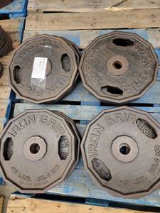 lot 38459 image: (16) 45lb Iron Grip Metal Plate Weights