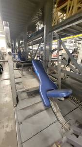 lot 38983 image: Nautilus Bench Incline