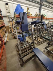 lot 39194 image: Hammer Strength Leg Lift and Incline Sit Up Rack