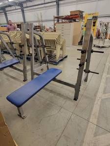 lot 39205 image: Hammer Strength Bench Press with Weight Tree