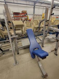 lot 39208 image: Nautilus Incline Bench