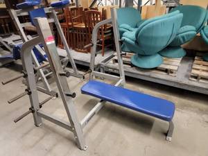 lot 38723 image: Nautilus Bench Rack With Weight Tree Attached