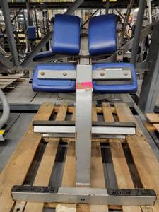 lot 38899 image: Hammer Strength Back Extension Rack