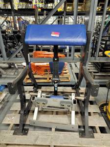 lot 38903 image: Hammer Strength Seated Arm Curl Rack