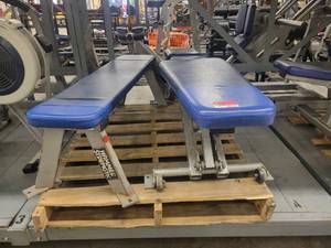 lot 39007 image: Hammer Strength Benches (2)