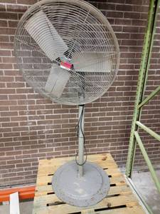 lot 39933 image: (3) Peddastle Fans