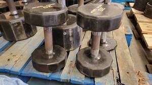 lot 38405 image: (2) Iron Grip Rubber Wrapped 20lb Dumbells