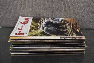 lot 2016 image: Lot of 24 Outdoor Life and Fur-Fish -Game Magazines  1990s and 2000s
