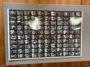 lot 1635 image: Uncut Baseball Card Sheet  Conlon Collection - Classic Major League Baseball Stars  3 of 3  40 x 26