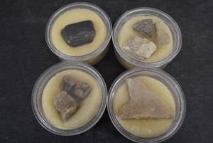 lot 1023 image: Lot of 4 Fossil Specimens  Coral pieces, Plant Stems, Jet