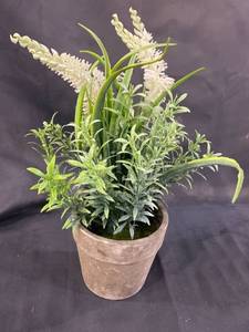lot 20008 image: FAUX TABLE PLANT