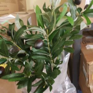 lot 30043 image: Homart Small Faux Potted Plant