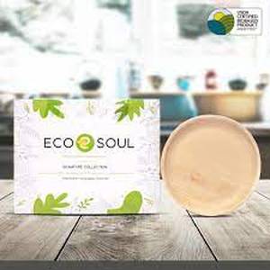 lot 30003 image: Eco Soul 100% Biodegradable Palm Leaf 10 in. Round Plates