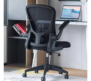 lot 5517 image: Office Chair Ergonomic Desk Chair Computer Task Mesh Chair with Flip-up Arms Lumbar Support