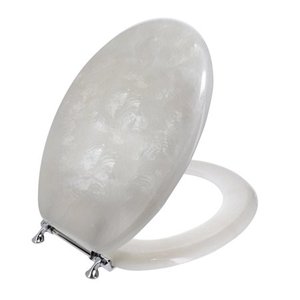 lot 5542 image: Ginsey Elongated Resin Decorative Toilet Seat with Chrome Hinges, Capice