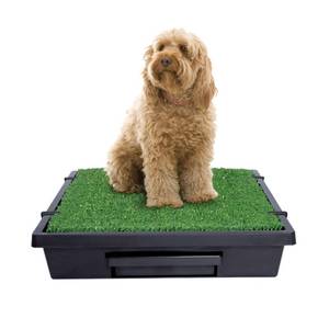 lot 21928 image: PetSafe Pet Loo, Medium