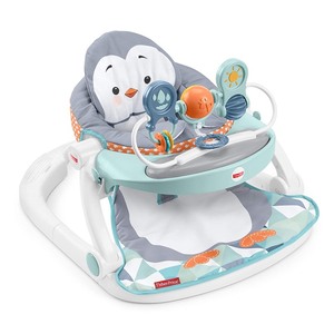 lot 16605 image: Fisher Price Baby Bouncer