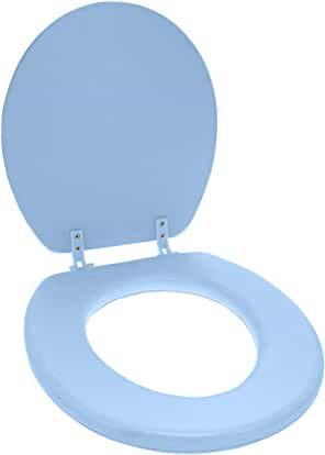 lot 7937 image: bath decor toilet seat blue