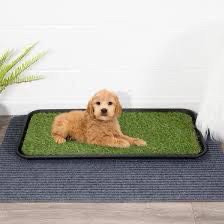 lot 6231 image: Pet Tray Collection 15 in. x 30 in. Grass Pee Pad Potty Pet Training Tray in Black