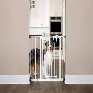 lot 41509 image: Carlson Extra Wide Walk Through Dog Gate with Door, Pressure Mount Kit & Wall Mount Kit