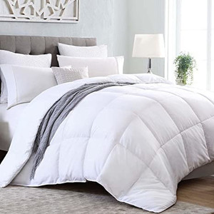lot 41759 image: Kingsley Trend Queen Comforter Duvet Insert, Fluffy Queen Size Comforter Home Bedding White Comforter Soft Down Comforter Cooling Summer Comforter Lightweight White Bedding Down Alternative Comforter