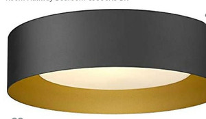 lot 43007 image: AUTELO Flush Mount Ceiling Light