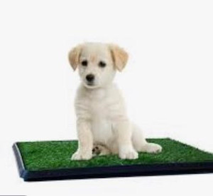 lot 21739 image: Petmaker Artificial Grass Puppy Pads, 3