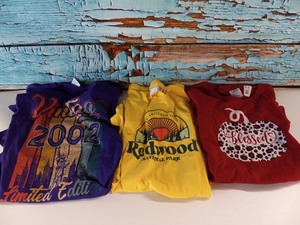 lot 23134 image: WomenMen Tshirt Lot of 3- Size Med