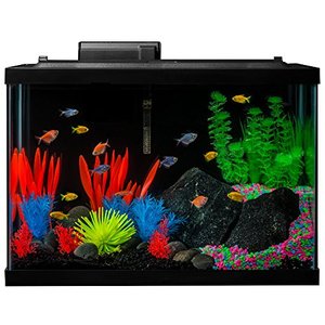 lot 5373 image: GloFish Aquarium Kit