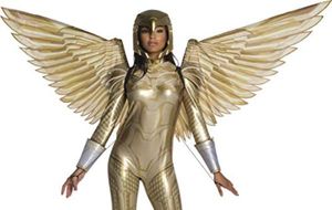 lot 5389 image: WW2 Movie Wonder Woman Accessory 2