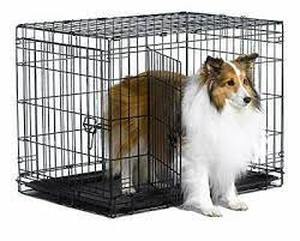 lot 5365 image: World Double-Door Folding Metal Dog Crate
