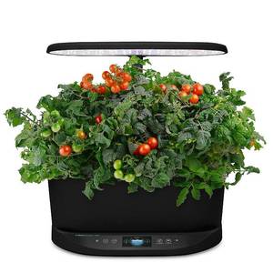 lot 6369 image: AeroGarden Bounty 9-Pod