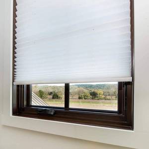 lot 9979 image: Easy Lift Trim-at-Home Cordless Pleated Fabric Shade