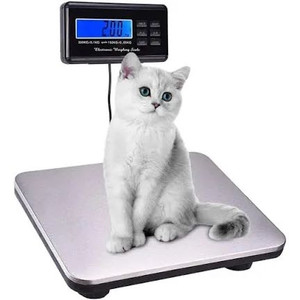 lot 1107 image: Paddie Shipping Scale 660lbs LCD Digital Platform Heavy Duty Portable Stainless Platform for Shipping Postal W 14X 12 300kg Capacity