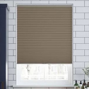 lot 1130 image: Bringing home a new cat