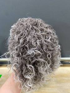 lot 14979 image: Kalyss 100% Premium Synthetic Hair Wig (GreyCurly)