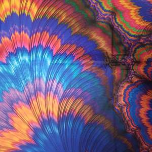 lot 39646 image: Tie dye UV car truck sun Shade