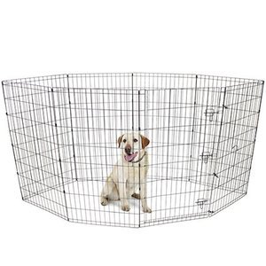 lot 3146 image: Vibrant Life 42H Indoor & Outdoor Pet Exercise Play Pen