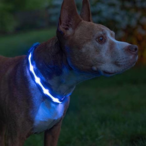 lot 3531 image: LED Flashing Dog Collar, Blue