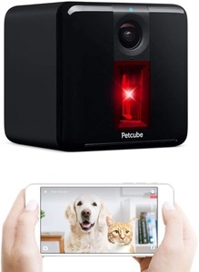 lot 3542 image: Petcube 1080 HD Wi-Fi Smart Pet Camera