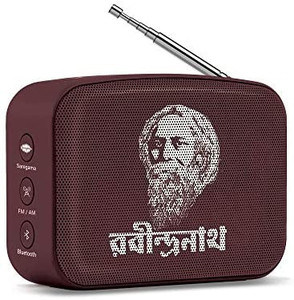 lot 3583 image: Saregama Carvaan Mini Bluetooth Speaker (RabindraSangeet-Terracotta)