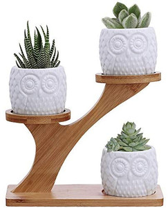 lot 2830 image: 3pcs Owl Succulent Pots with 3 Tier Bamboo Saucers Stand Holder