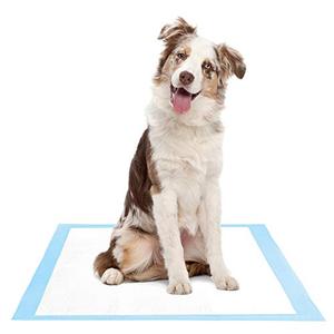 lot 6893 image: Amazon Brand - Solimo Super Absorbent Puppy Pads, Unscented, Large, 100 Count