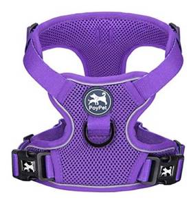lot 12367 image: PoyPet Reflective Soft Mesh Breathable Dog Vest No Choke Double Padded with Adjustable Neck and Chest -Size Medium