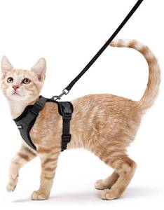 lot 12368 image: rabbitgoo Cat Harness and Leash for Cat Walking, Escape Proof Soft Adjustable Cat Harness Easy Control Breathable Cat Harness with Reflective Strips - Size Medium  Leash & Bells