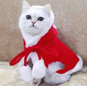 lot 12374 image: Pet Christmas Costume Poncho Cape with Hat Santa Claus Cloak for Cats and Small Dogs Red Size Medium - Lot of 2