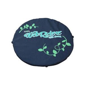 lot 5823 image: Web Riders Cushion