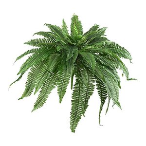 lot 22370 image: Nearly Natural 6051-S2 48�� Boston Fern (Set of 2), 2 Piece,Green