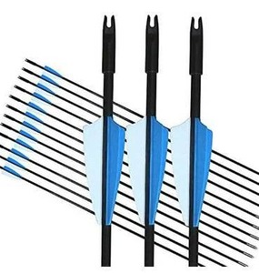 lot 100603 image: GPP Archery Beginners First Arrows (30 Fiberglass Target Archery Arrows) - 12 Pack